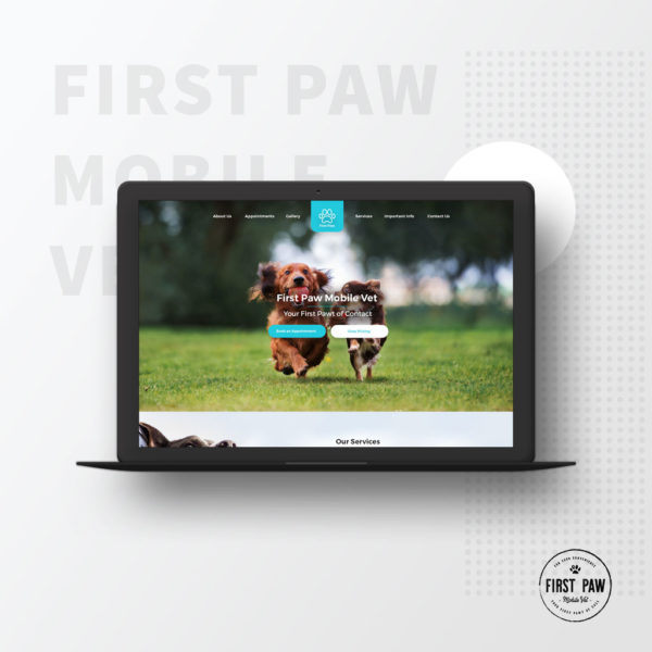 First Paw Case Study