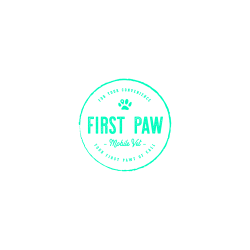 First Paw Mobile Vet | The Webery Studio Clients